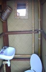 Eco-friendly Western toilet