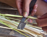 Slicing reeds