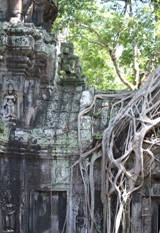 Ta Prohm