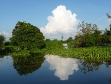 Reflections on Sap River